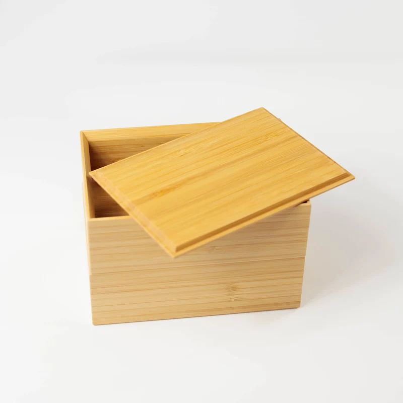 Take Bako Bento Box