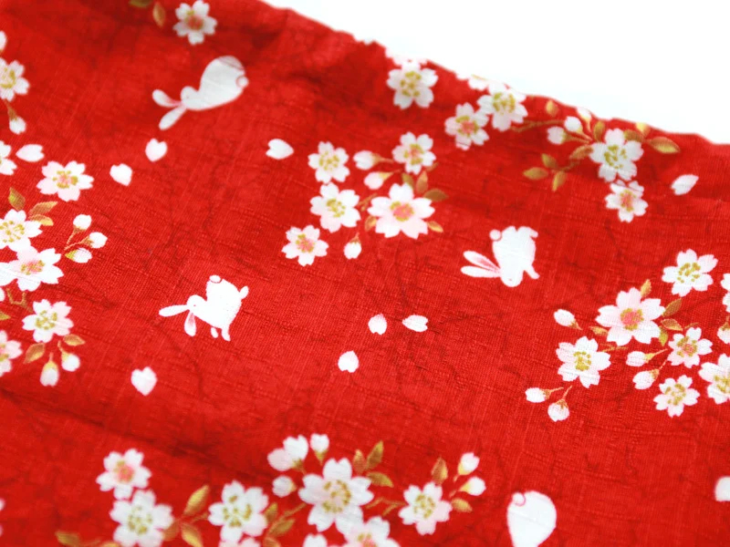 Sakura Usagi Bento Bundle