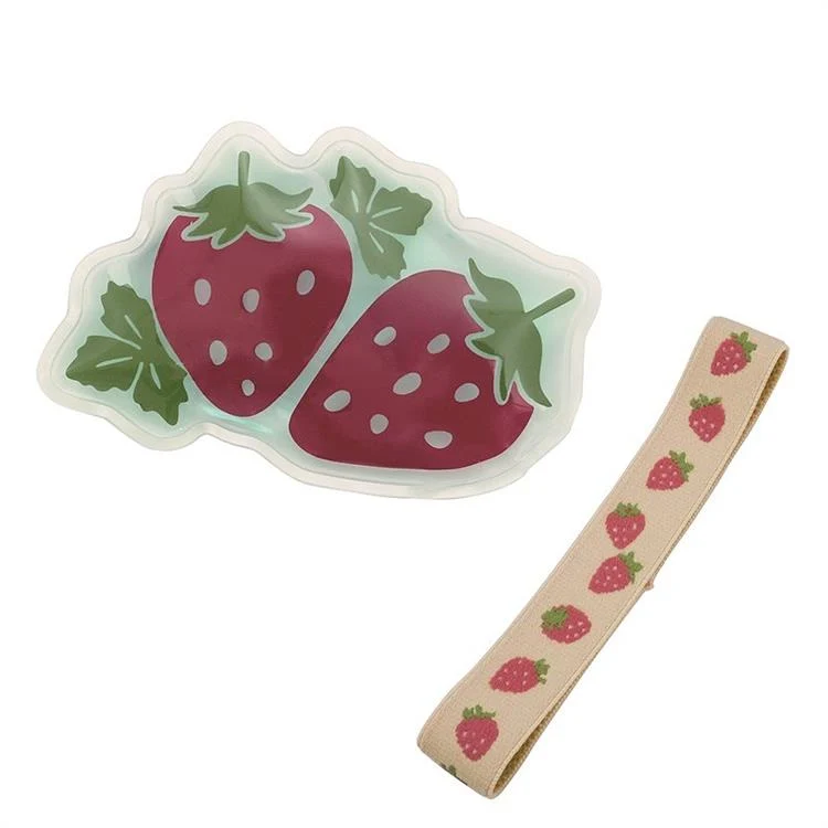 Ice Pack & Lunch Band Set | Fruits