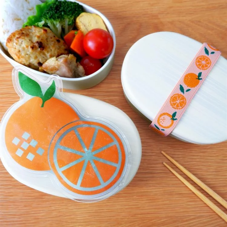 Ice Pack & Lunch Band Set | Fruits