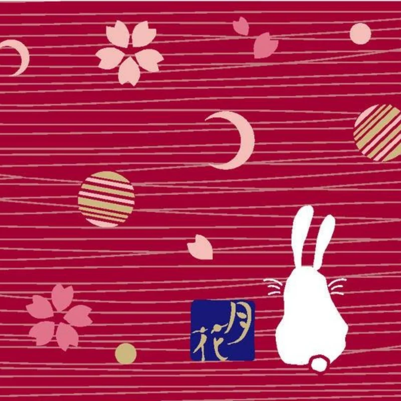Onigiri Maker Bento Box | Moon Rabbit