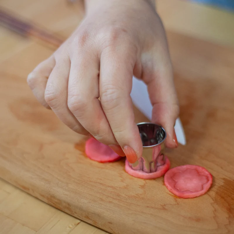 Sakura Cutter Set