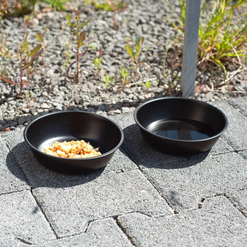 2er Napfset Hundenapf & Katzennapf in schwarz - Futternapf für Hund & Katze | Napf Futterstation Fressnapf für Hunde & Katzen, 2 Futternäpfe als Setz
