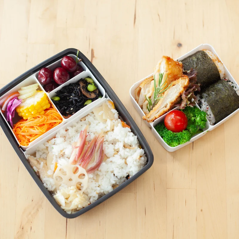 Shikiri Bento Box