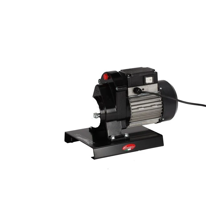 TRITACARNE MOTORE 600W 9500NC