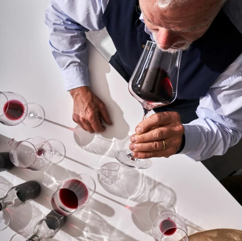 Gabriel Glas StandArt Universal-Weinglas mit Poliertuch