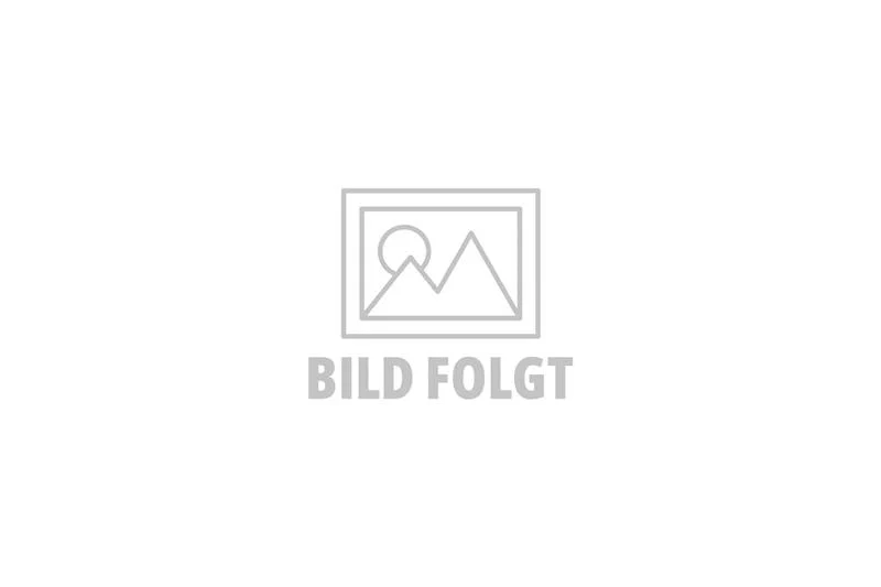 Dichtring klein zu SE Susi 48940