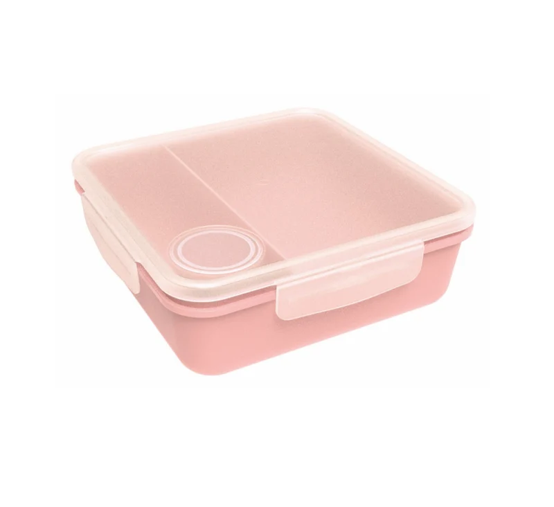 Salad Box with Dip Container (1450 ml) (Assorted)