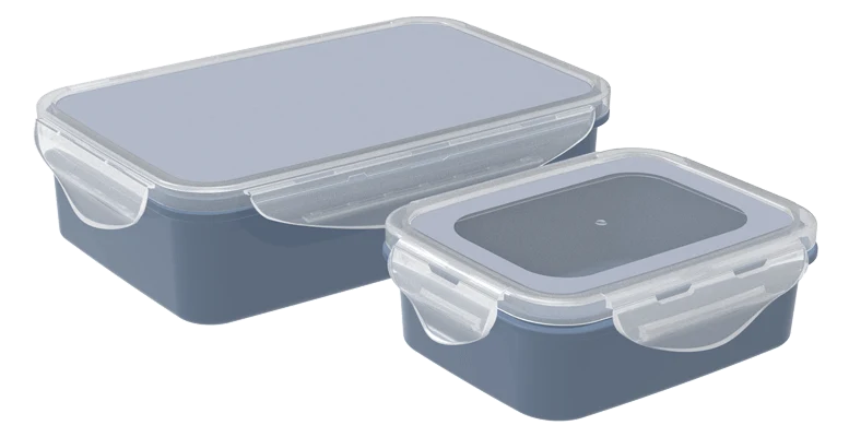 Lock & Safe Container 1250H X 1, 350H X 1 (1600 ml) (Assorted) (2 Pc Set)