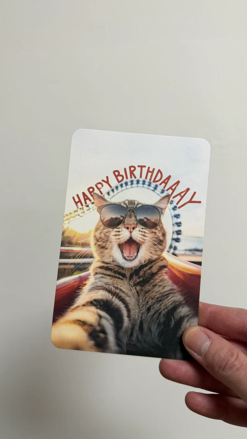 Kind Mind Card "Happy Birthday Rollercoaster Cat"