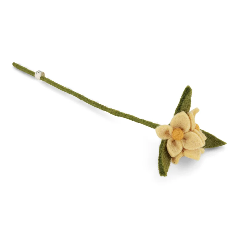 Dreiblütiger Blume Light Yellow