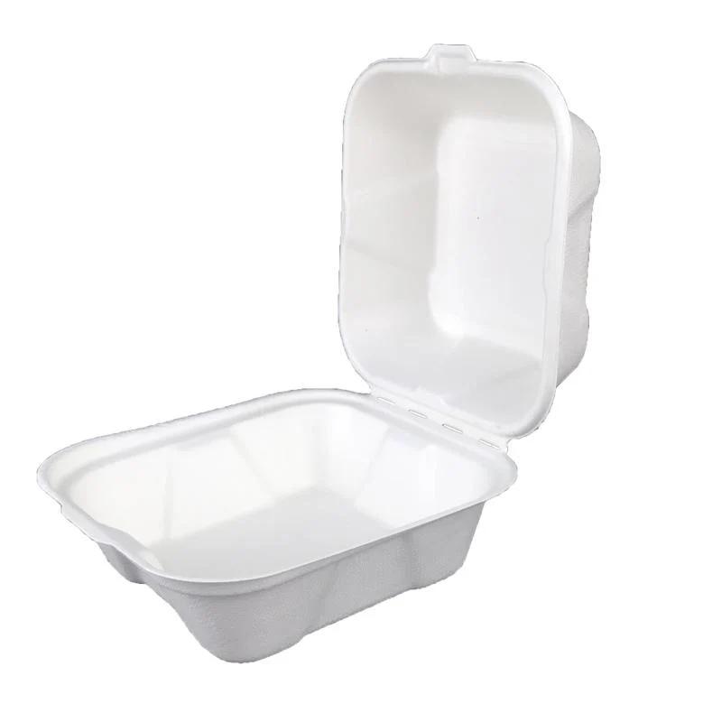 6in bagasse burger box - white