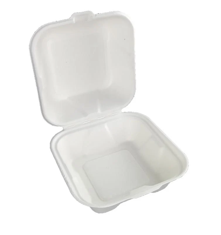 6in bagasse burger box - white