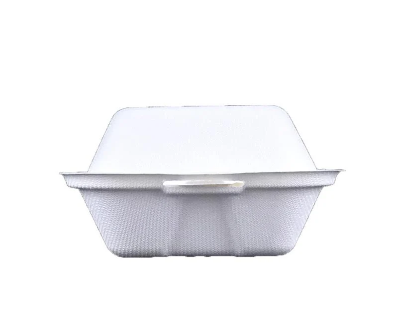 6in bagasse burger box - white