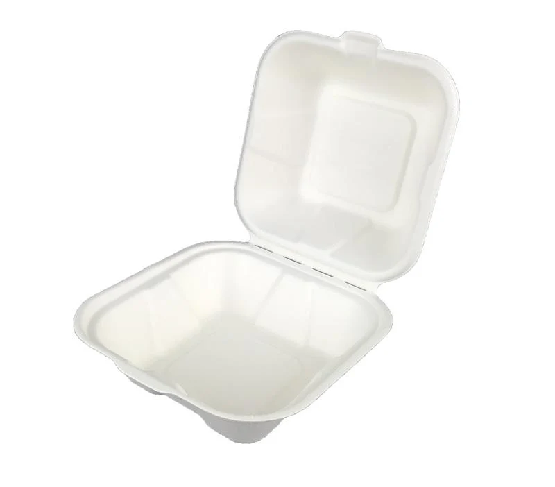 6in bagasse burger box - white