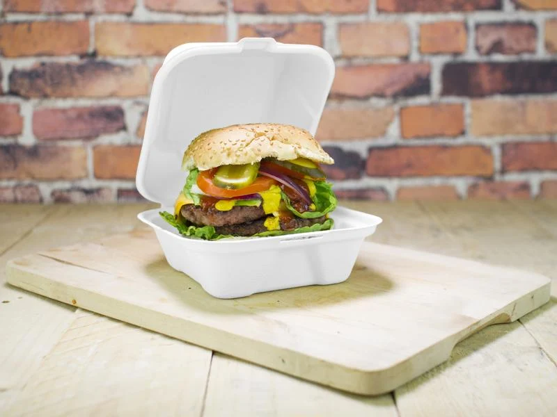 6in bagasse burger box - white