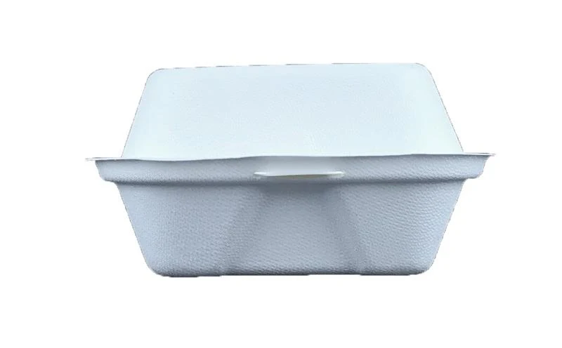 5in bagasse burger box - white