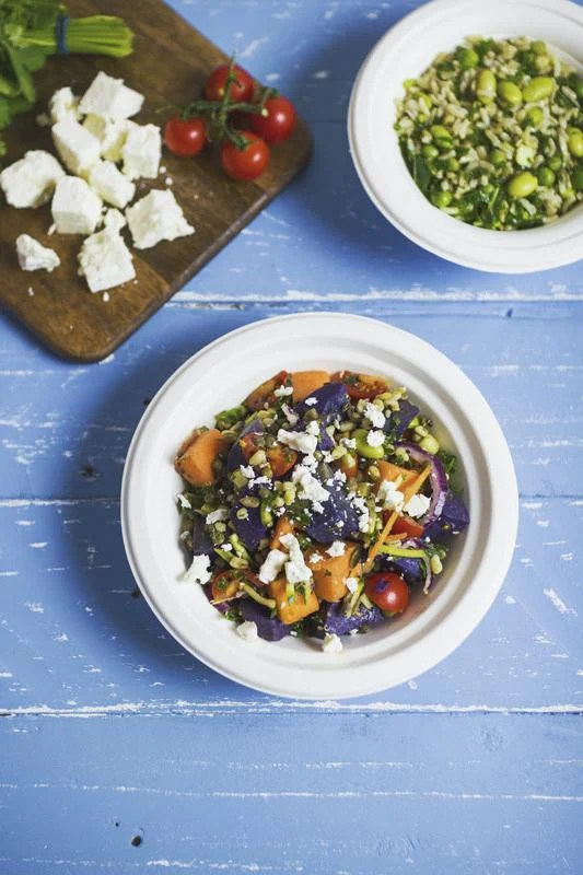 14oz bagasse wide bowl - white