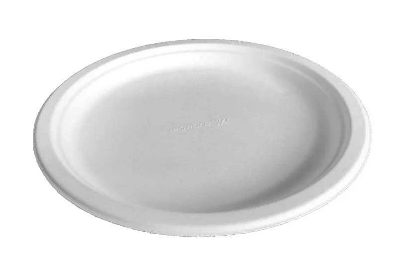 10in bagasse plate - white