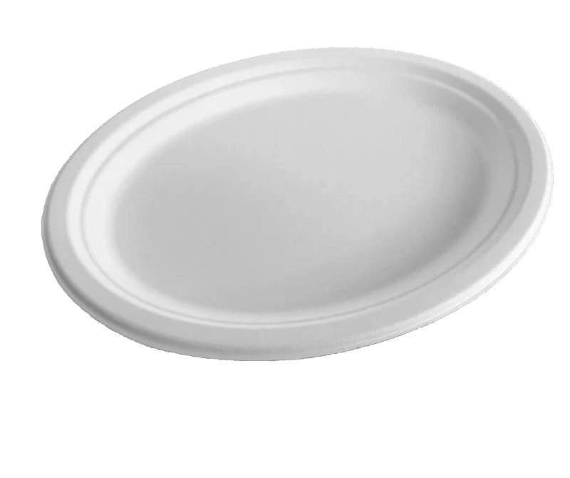 10in bagasse plate - white