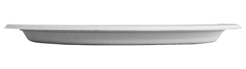 10in bagasse plate - white