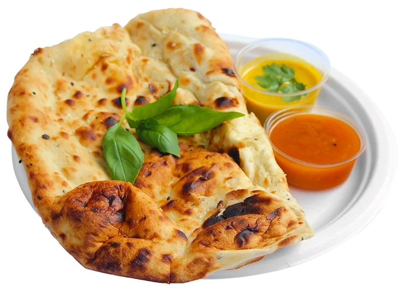10in bagasse plate - white