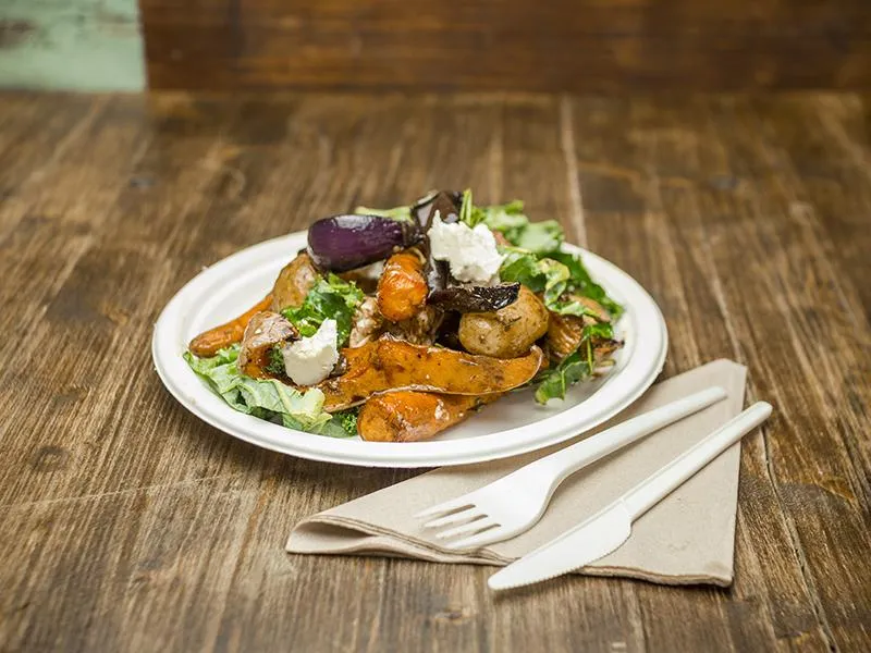 9in bagasse plate - white