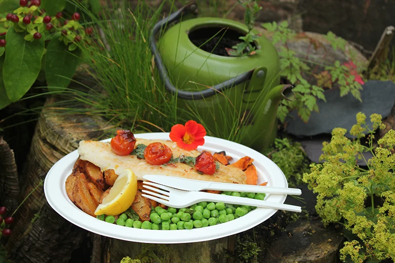 10in bagasse oval plate - white