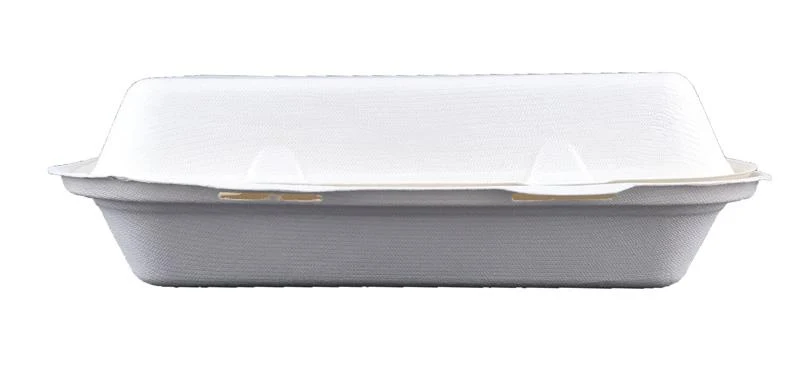 8in square bagasse lunch box - white