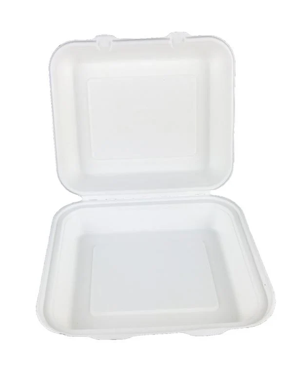 8in square bagasse lunch box - white