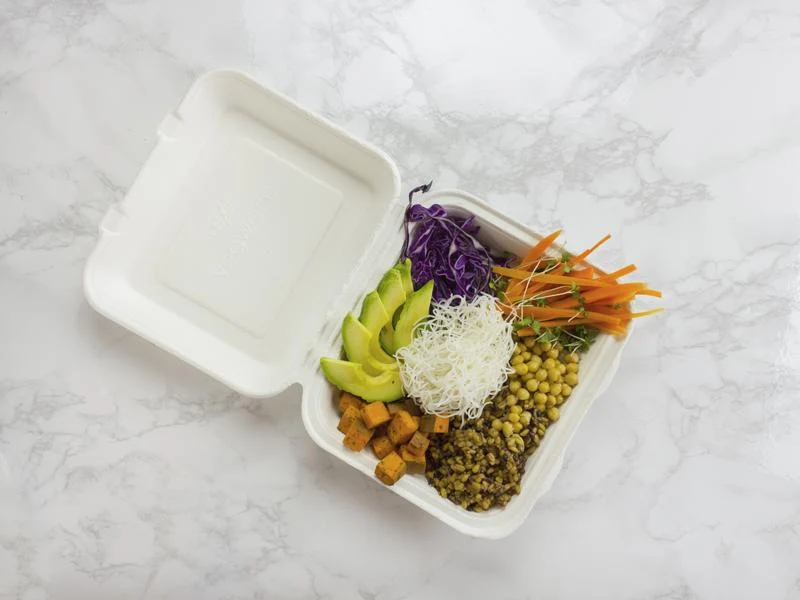 8in square bagasse lunch box - white