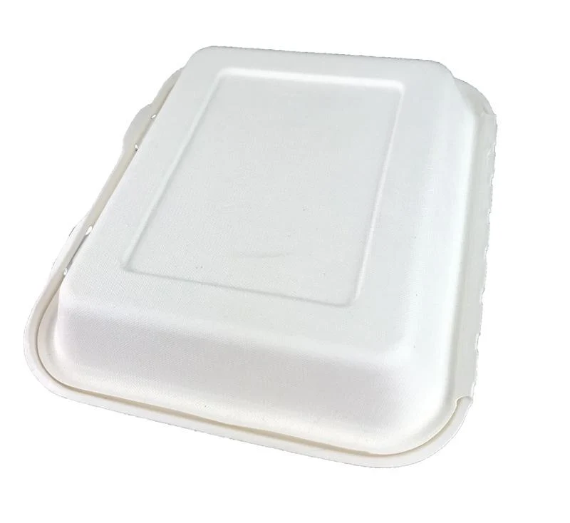 9 x 8in bagasse clamshell - white