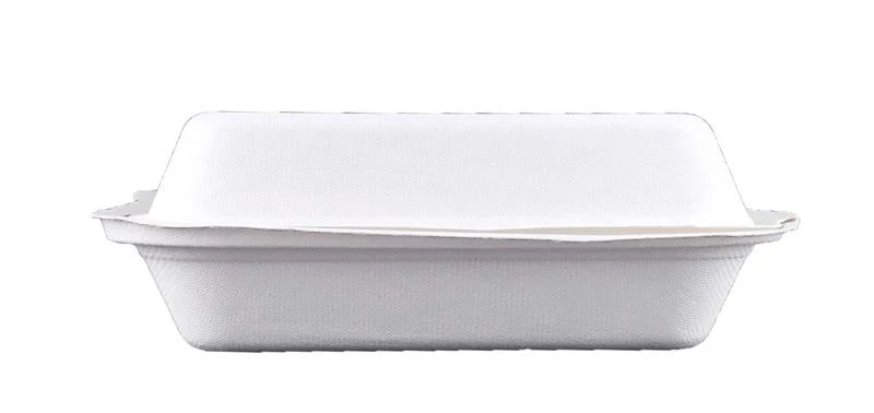 9 x 8in bagasse clamshell - white