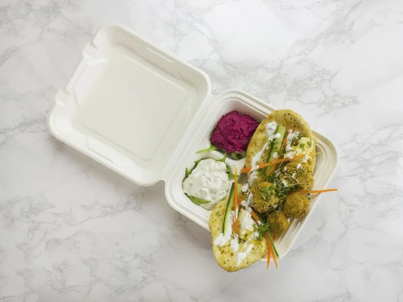 9 x 8in bagasse clamshell - white
