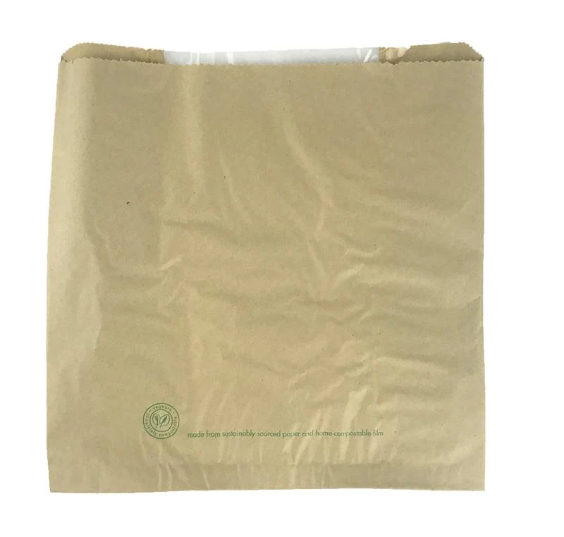 PLA window bag 25.4 x 25.4cm - kraft
