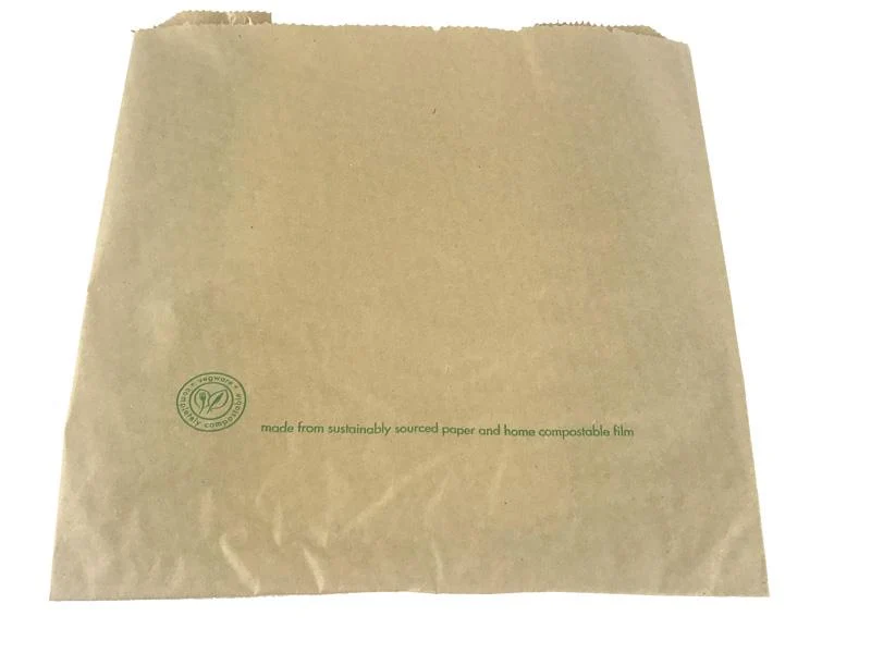PLA window bag 21.5 x 21.5cm - kraft