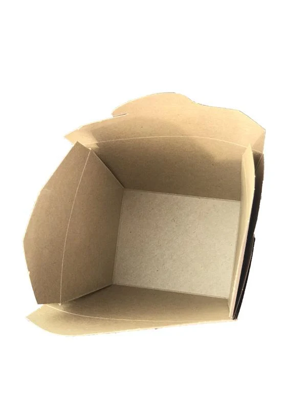 Noodle box 1000ml - kraft