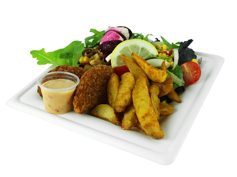 8in square bagasse plate - white