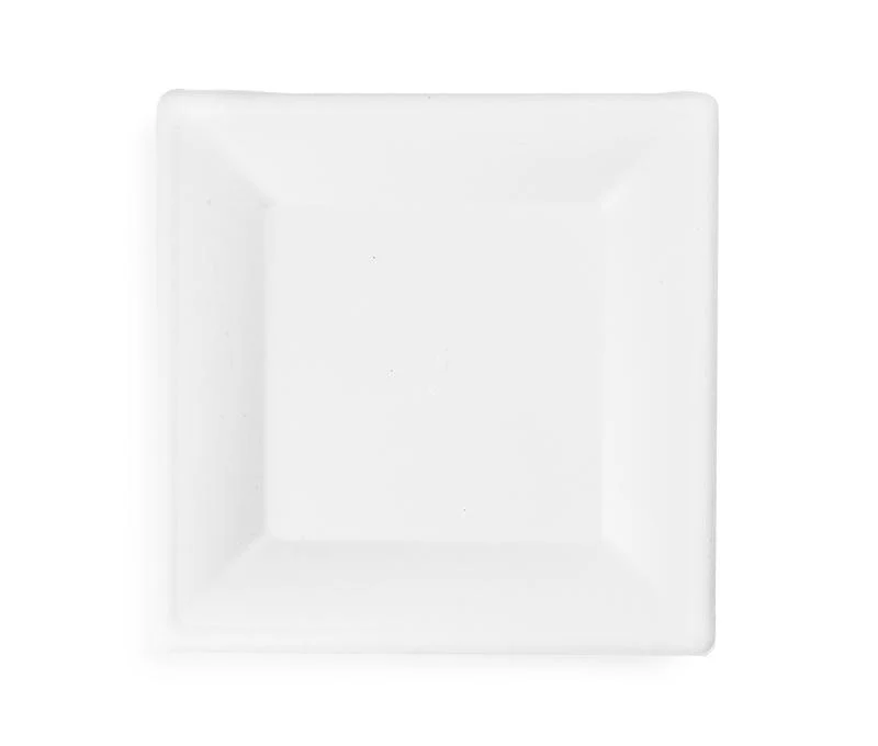 10in square bagasse plate - white