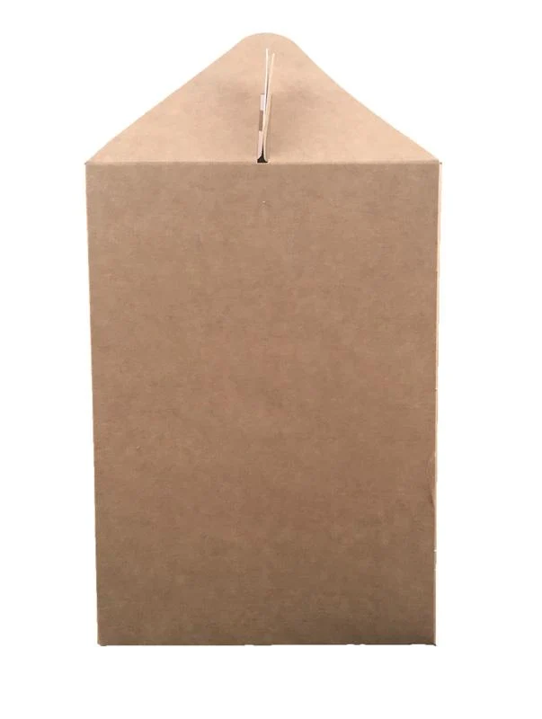 Large carry pack (26.5 x 18 x 12.5cm)