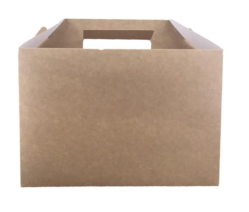 Large carry pack (26.5 x 18 x 12.5cm)