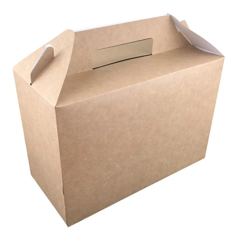 Large carry pack (26.5 x 18 x 12.5cm)