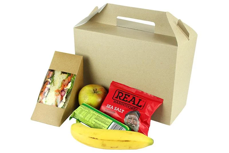 Large carry pack (26.5 x 18 x 12.5cm)
