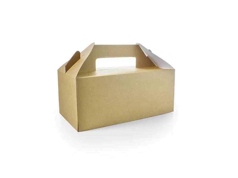 Standard carry pack (22.5 x 9.5 x 12cm)