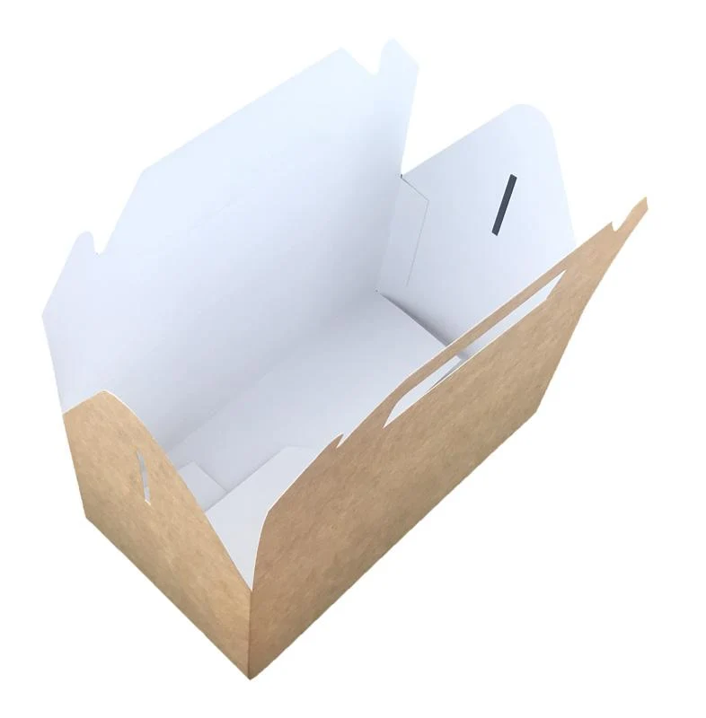 Standard carry pack (22.5 x 9.5 x 12cm)