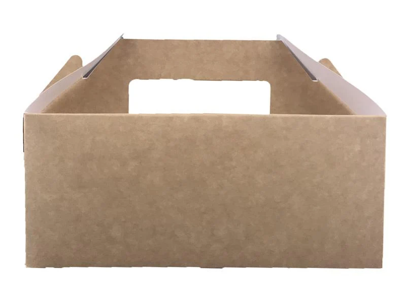Standard carry pack (22.5 x 9.5 x 12cm)