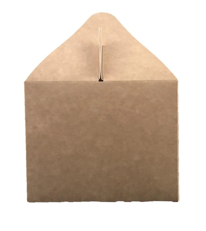 Standard carry pack (22.5 x 9.5 x 12cm)