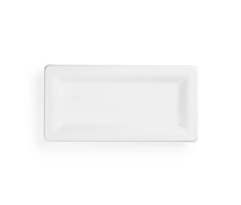 10 x 5in rectangular bagasse plate - white