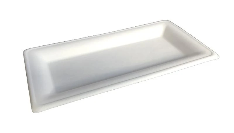 10 x 5in rectangular bagasse plate - white