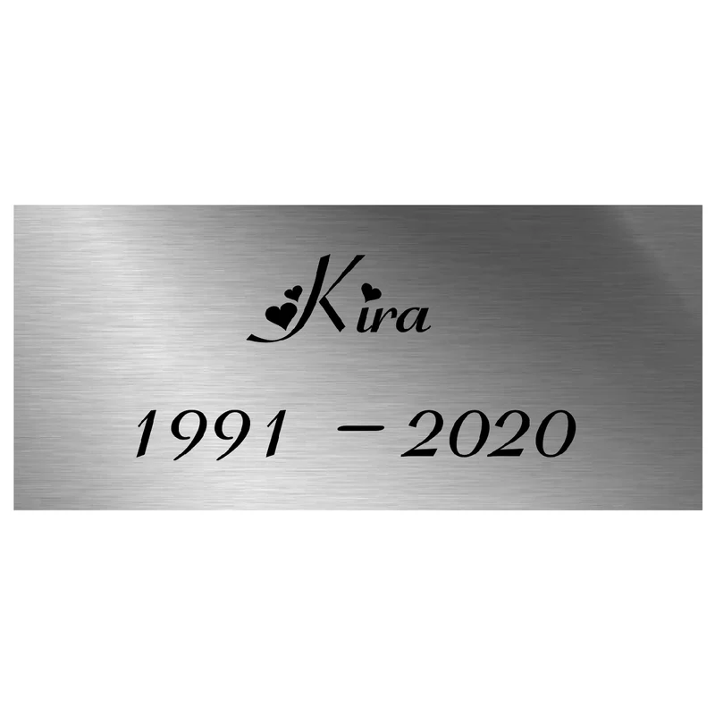 Edelstahl Namensschild Türschild mit individueller Gravur 90 x 40 mm
